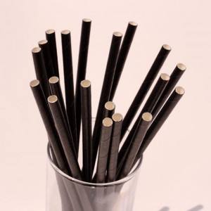 Black Eco Friendly Plastic Paper Straw 1 pcs