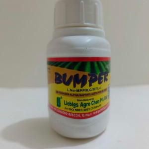 BUMPER | BUMPER PRICE IN BD |