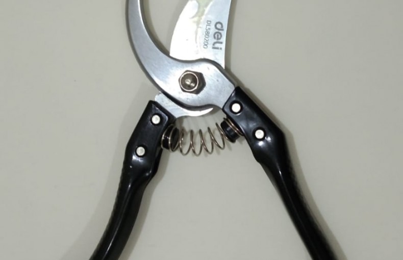 Deli Pruning Shears Black Handle ডাল কাটার