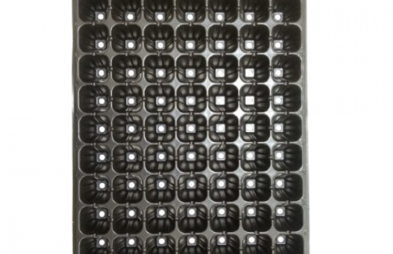 Seedling Tray – 105 Cavity